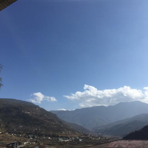 Photo #4357533