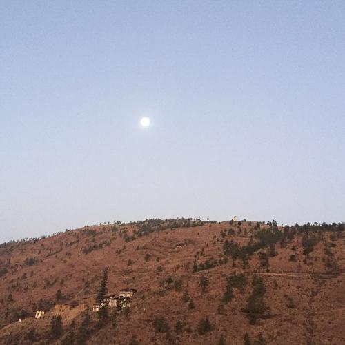 Photo #4357534