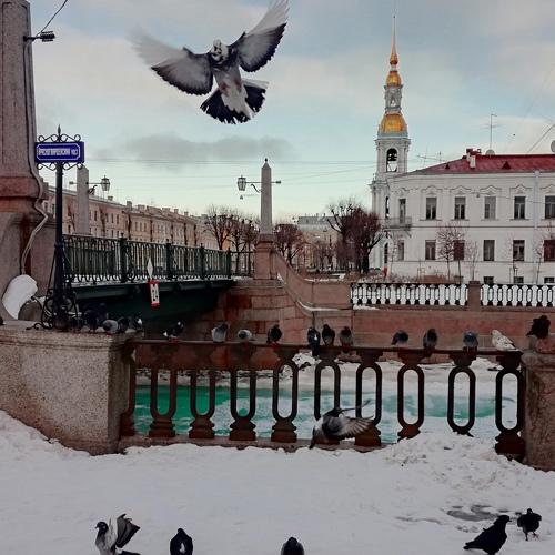 Photo #4357768