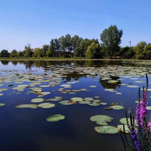 Photo #4357945