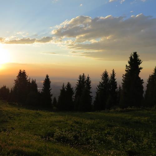 Photo #4358057