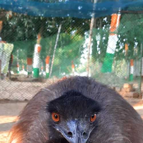 Photo #4358526