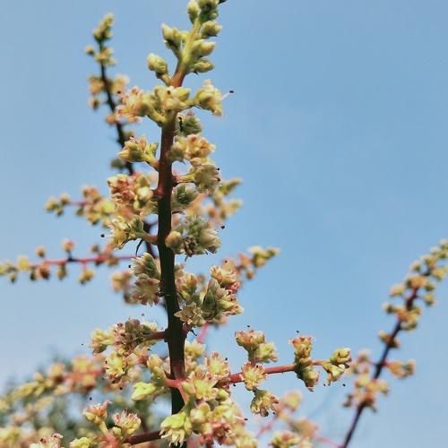 Photo #4358621