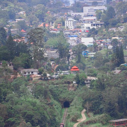 Photo #4358719