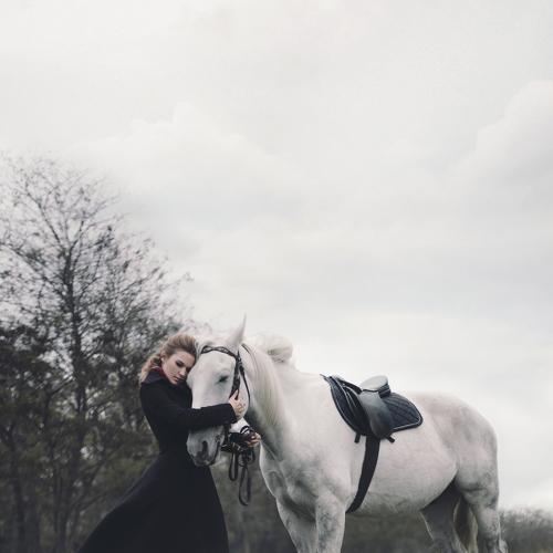 Photo #4358746