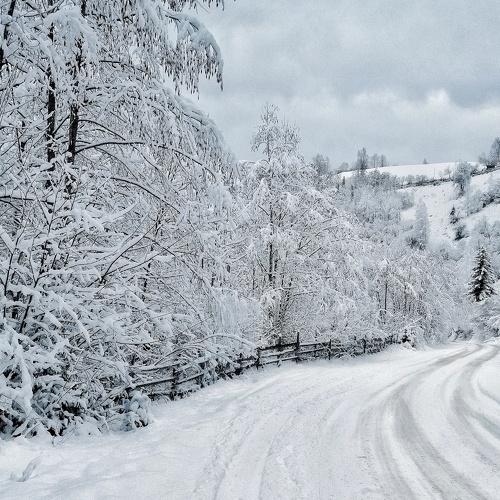 Photo #4358928