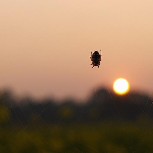 Photo #4359218