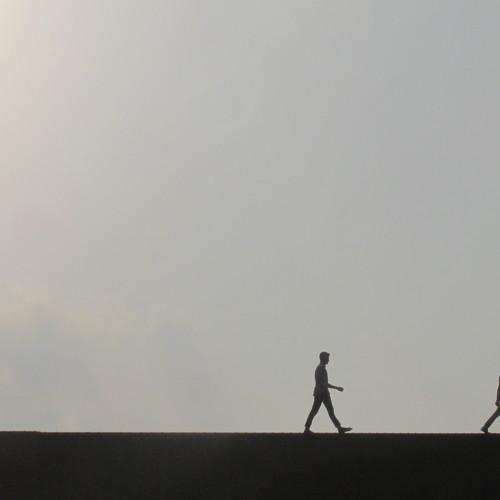 Photo #4359267