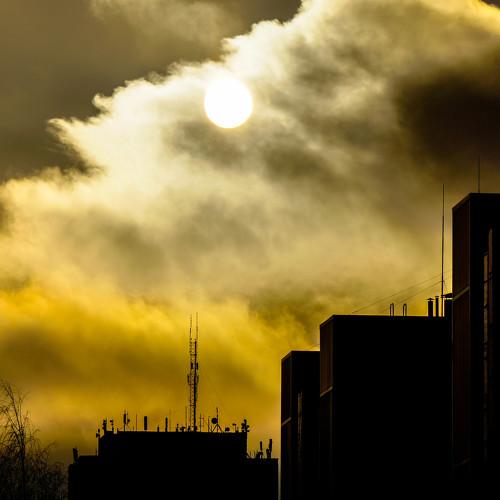 Photo #4359457