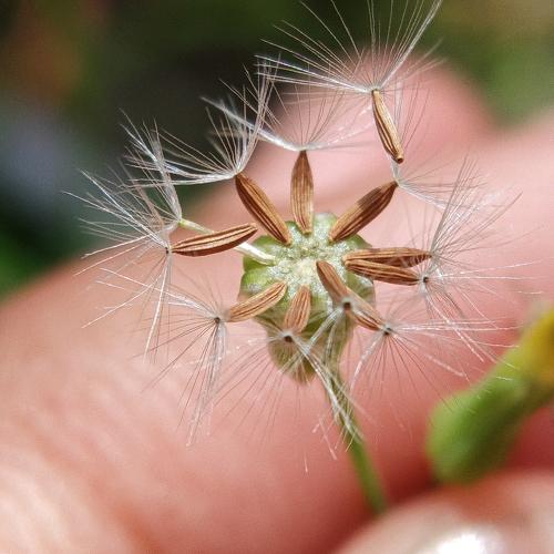 Photo #4359504