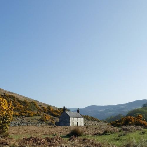 Photo #4359608