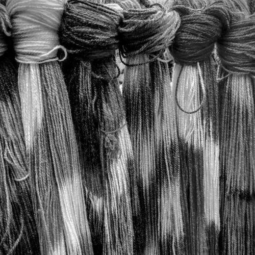 Photo #4359611