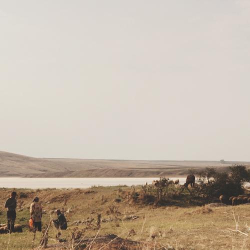 Photo #4359784