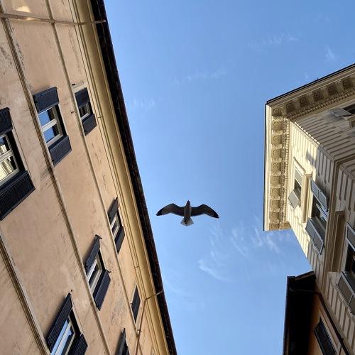 Photo #4359786