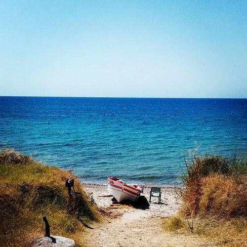 Photo #4359837