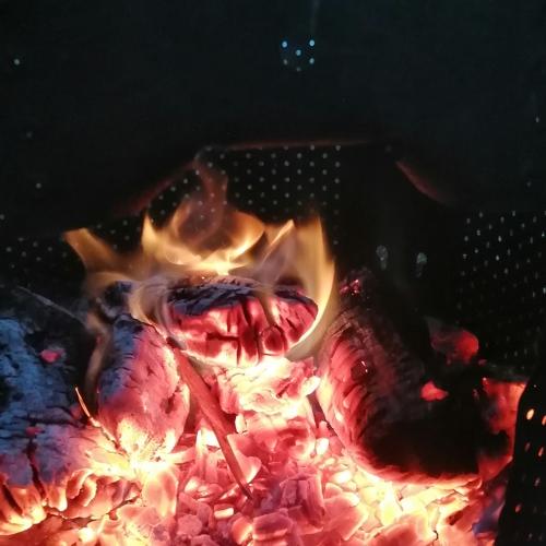 Photo #4360215