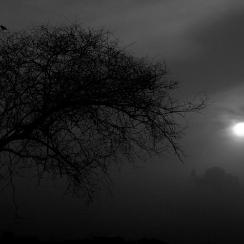 Photo #4360258