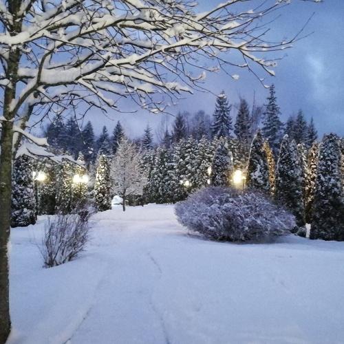 Photo #4360611