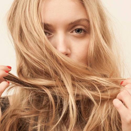 Photo #4360913