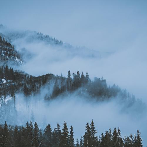 Photo #4361168
