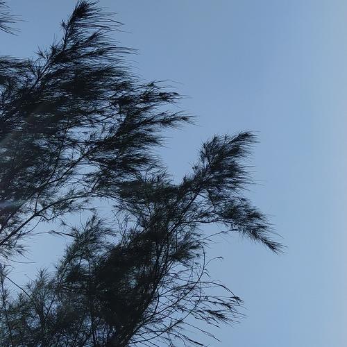 Beauty of nature!