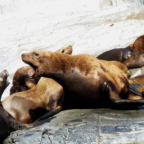 Photo #4361559