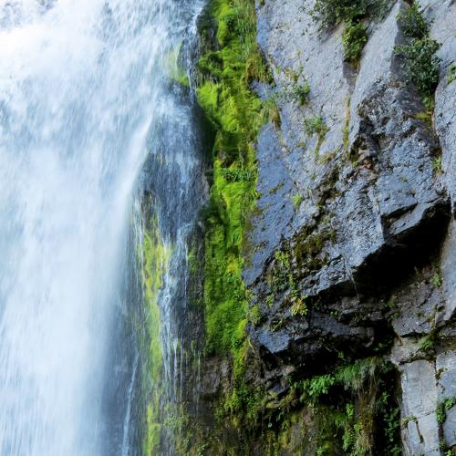 Photo #4361609