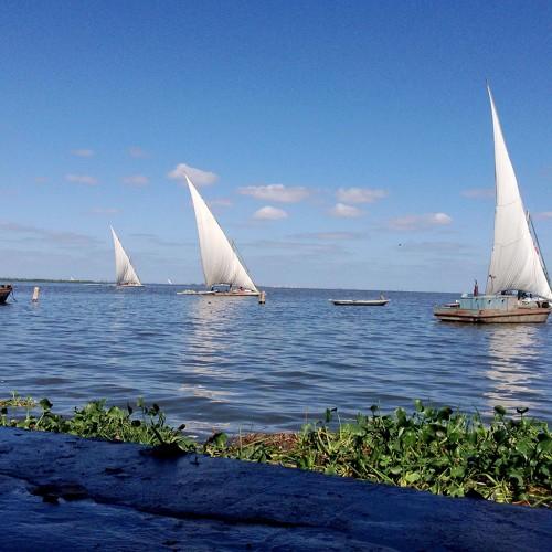 Photo #4361867