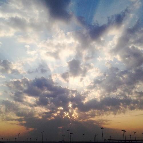 Photo #4361871