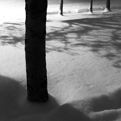 Photo #4362075