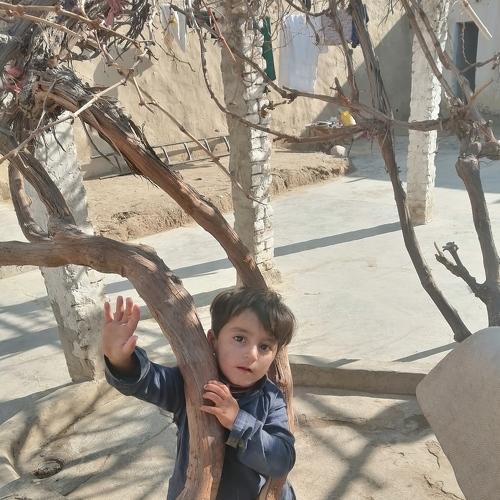 Photo #4362154
