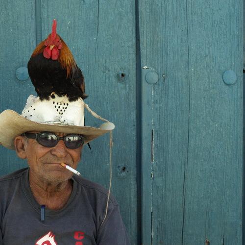 Photo #4362192