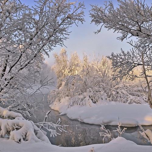 Photo #4362238