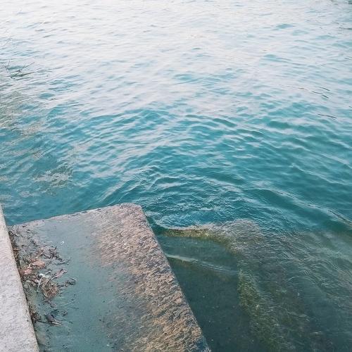 Photo #4362250
