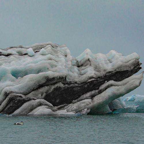 Photo #4362580