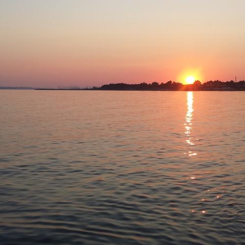 Photo #4362653