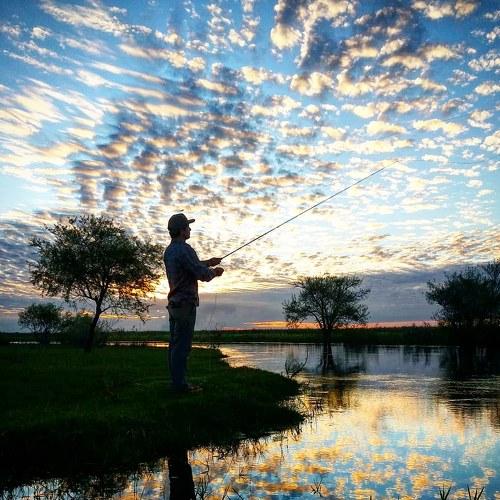 Fly fishing reflection