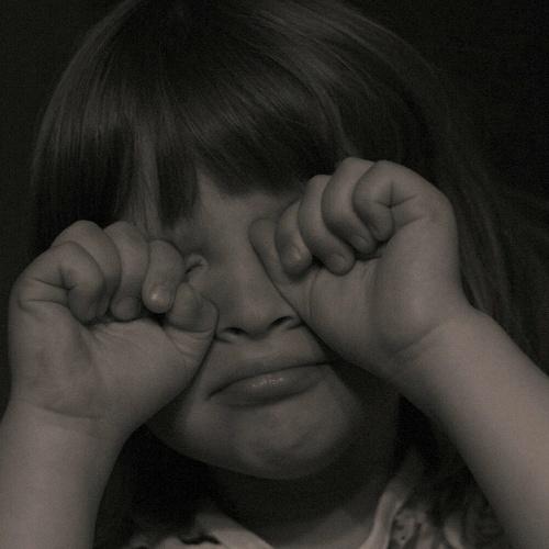 Photo #4363121
