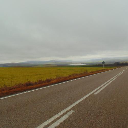 Photo #4363152