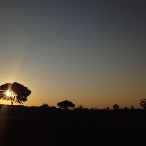 Photo #4363218