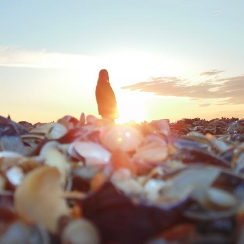 Photo #4363240