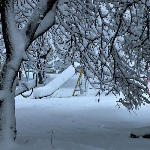 Photo #4363367