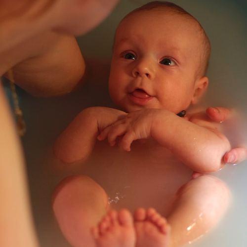 Photo #4363469