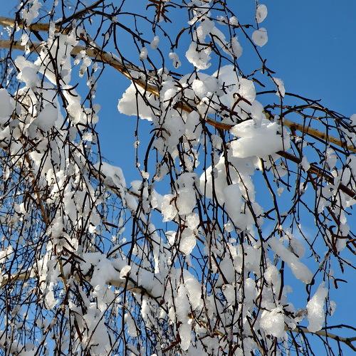 Photo #4363497