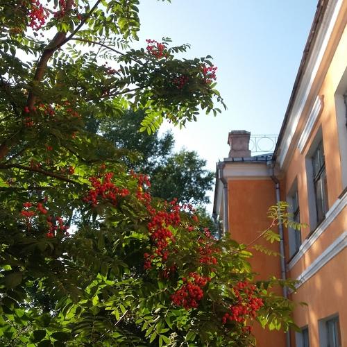 Photo #4363577
