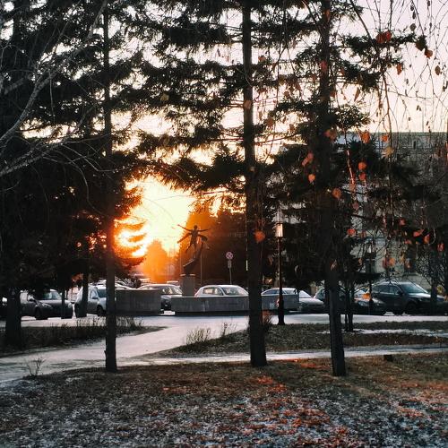 Dawn of autumn