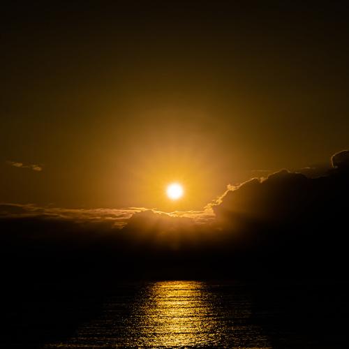 Photo #4363631