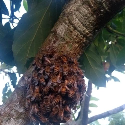 Photo #4363914
