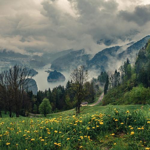 Photo #4363956