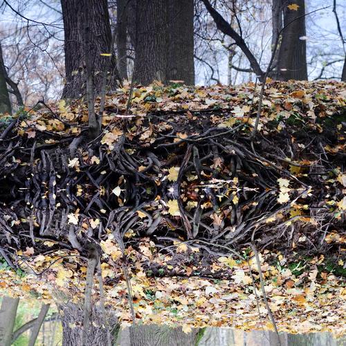 Photo #4364086